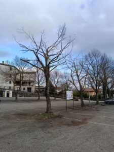 ACQUAPENDENTE_POTATURE_4