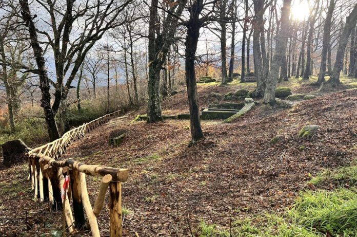 Aree comune di vitorchiano