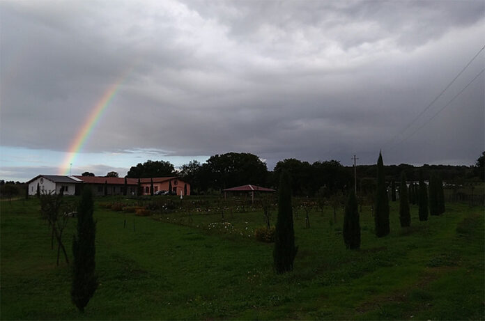Associazione Campo delle Rose ODV