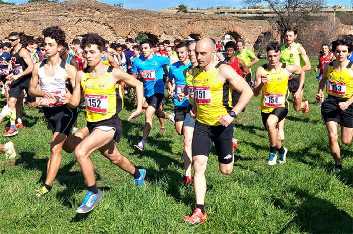 Finass Cross Corto-2025 Finass Cross Corto-2025