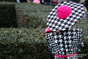 Foto Stefano Marigliani 1