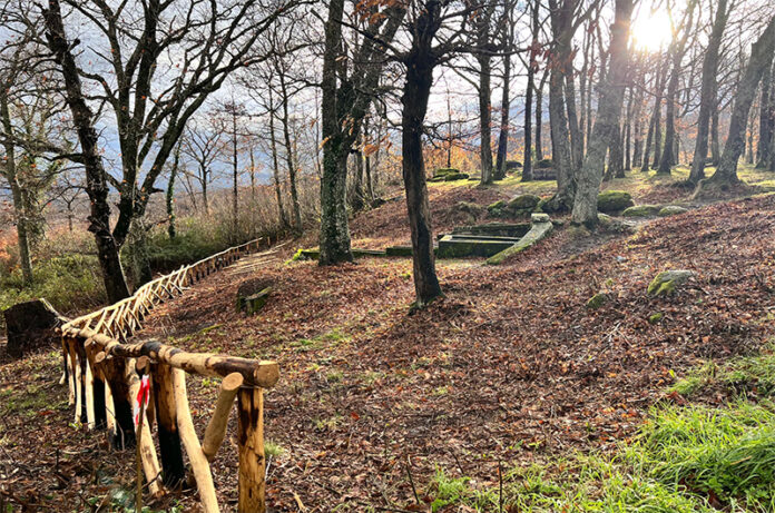 VITORCHIANO_AREE_NATURALISTICHE VITORCHIANO_AREE_NATURALISTICHE