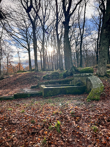 VITORCHIANO_AREE_NATURALISTICHE_1