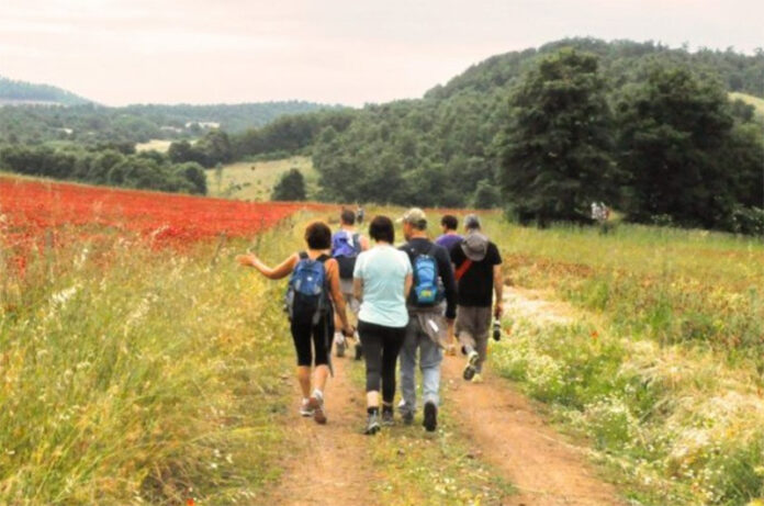 European Francigena Marathon