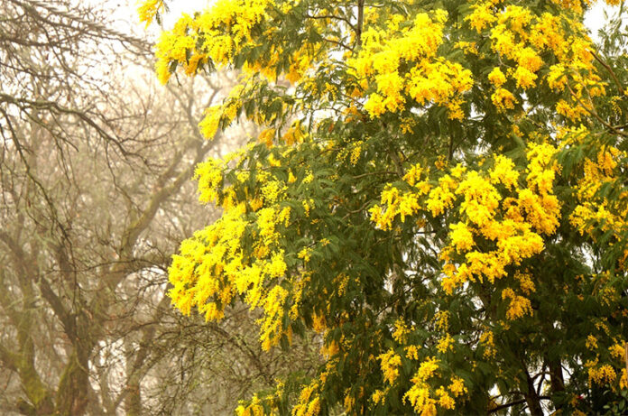 Foto di Danilo De Mattia