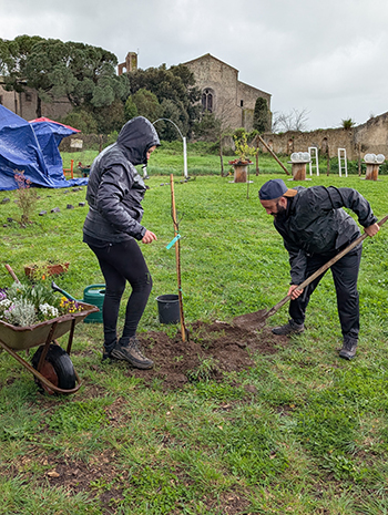L'albero piantato al Pigno