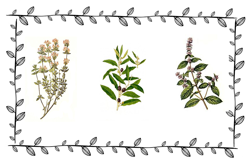 erbarioetruscotuscania