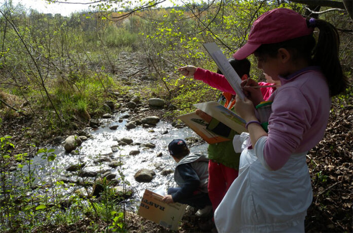 esploratorInErba esploratorInErba