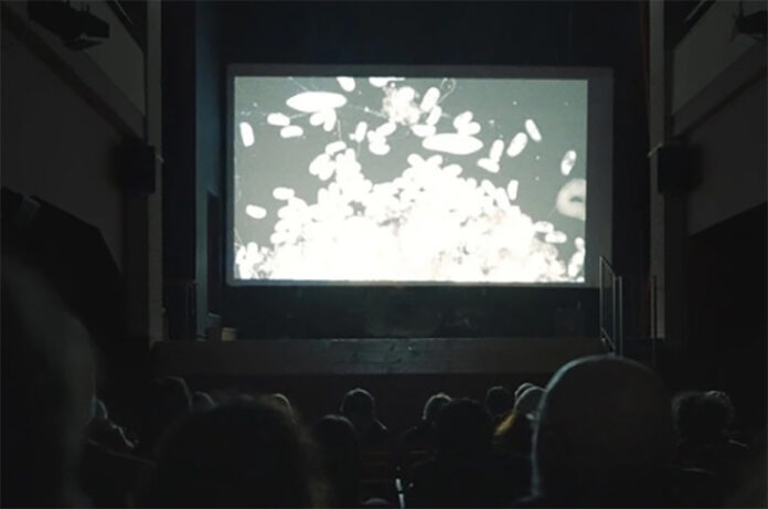 festival dei lumi 2025 festival dei lumi 2025