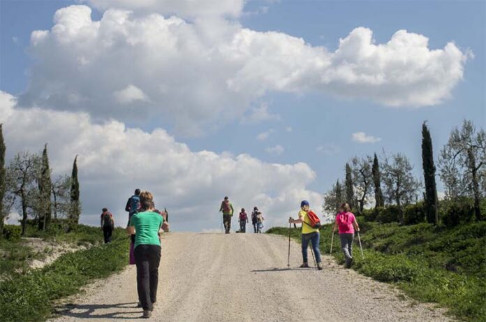 il cammino dell'intrepido larth