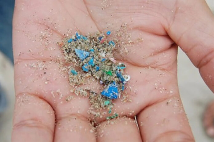 microplastichedanni
