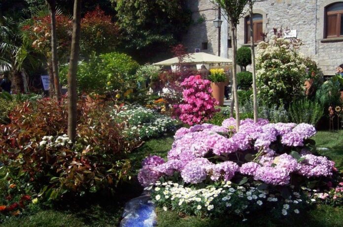 san pellegrino in fiore 2020 vivaio pugliesi