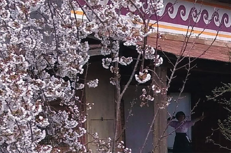 I tesori del Giappone