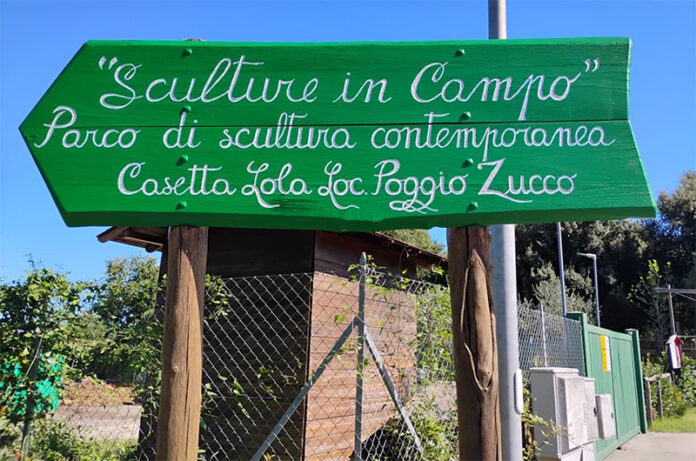 SCULTURE-IN-CAMPO