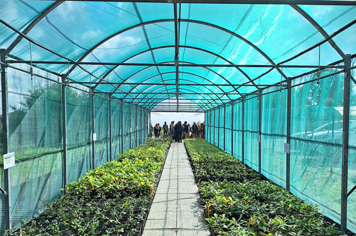 Viavaio ARSIAL-Caprarola