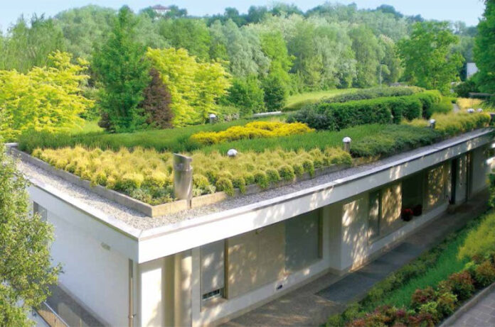 greenroofs