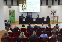 ITS Academy e la sfida del modello 4+2: più formazione tecnica, più opportunità per i giovani 0