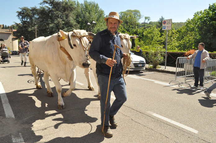 Festa agricola di Sant'Isidoro