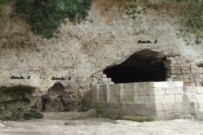 Sistema museale Unitus