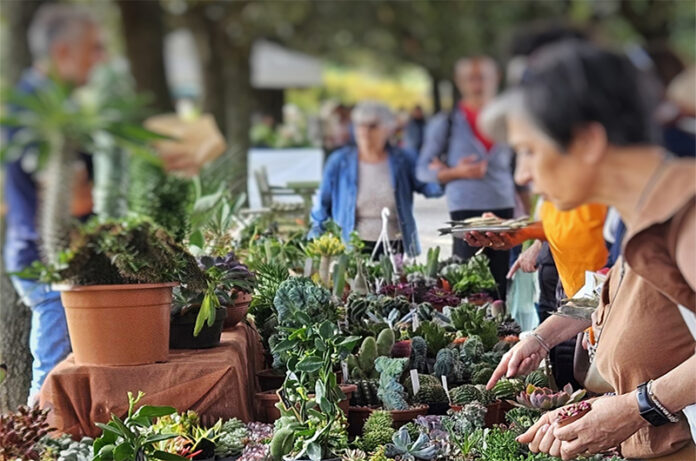 Verdi e Contenti 7ma ed Verdi e Contenti 7ma ed