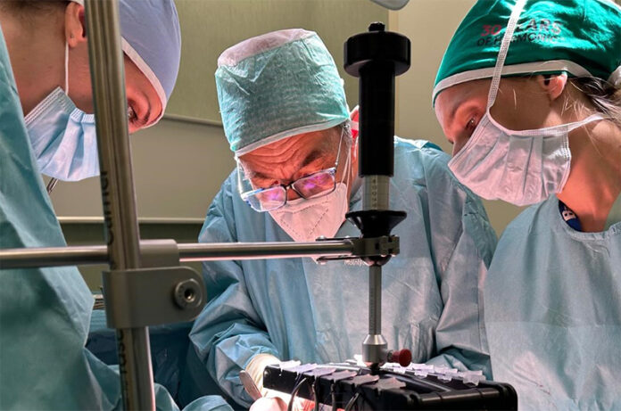 campanile sala campanile sala