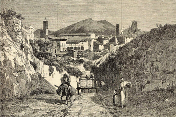 libro risorgimento viterbese