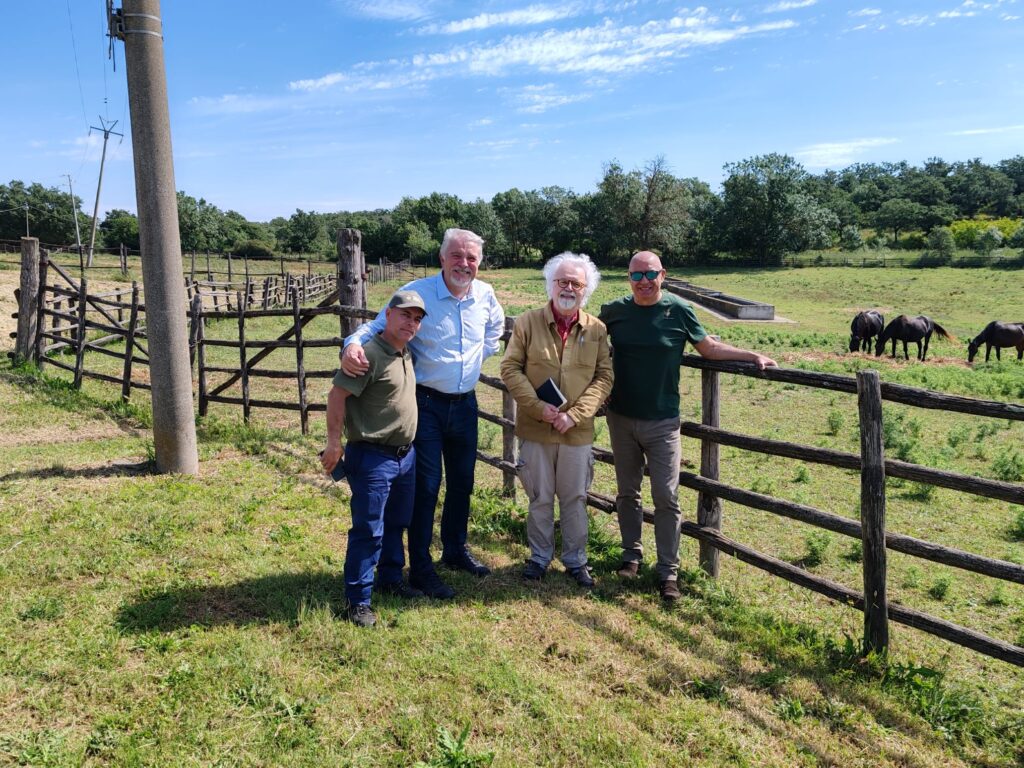 sacripanti, olmi, roversi e riglietti