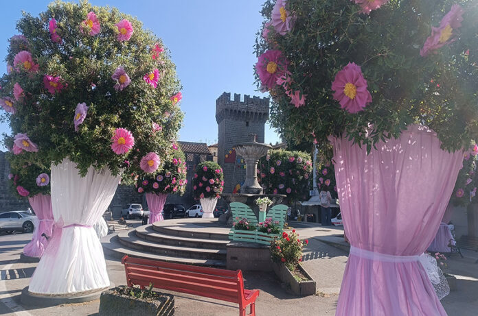 week peperino in fiore @pro loco di vitorchiano