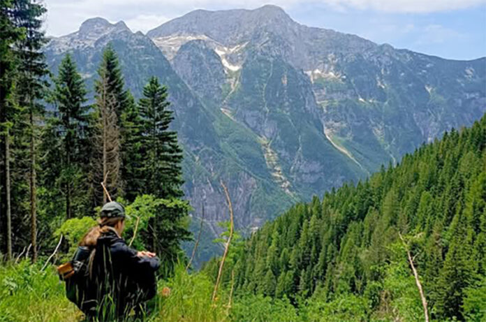 Il viaggio di Francesco Barberini nel cuore dell'Europa