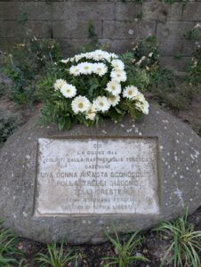 Immagine WhatsApp 2025-06-08 ore 11.39.35_27103ac0