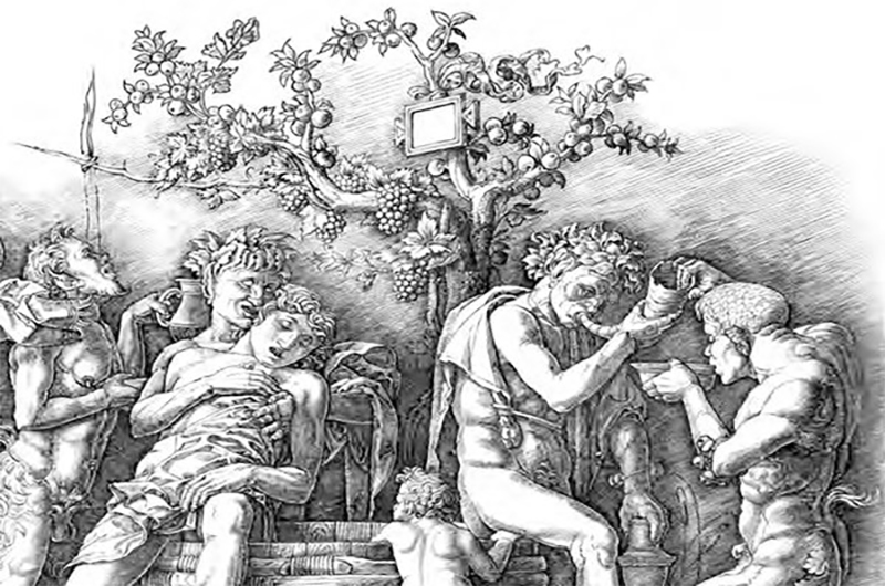 Sulla natura dei diversi tipi di vino