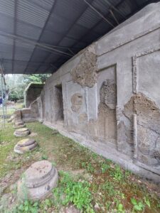 Tuscania - Necropoli etrusca di Pian di Mola 1