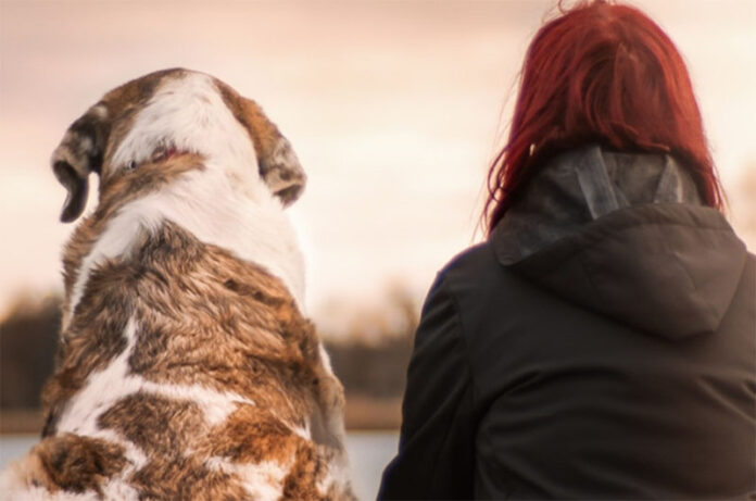 percorso formativo per proprietari di cani