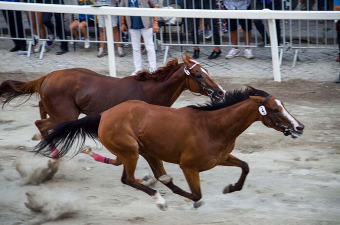 CORSE A VUOTO RONCIGLIONE