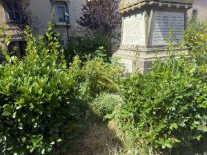 Immagine WhatsApp 2025-07-05 ore 12.07.54_370a3a43