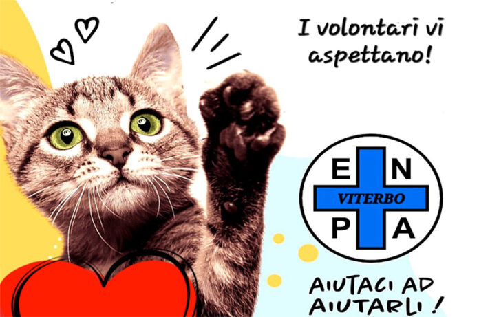 adozione gatti ENPA VT