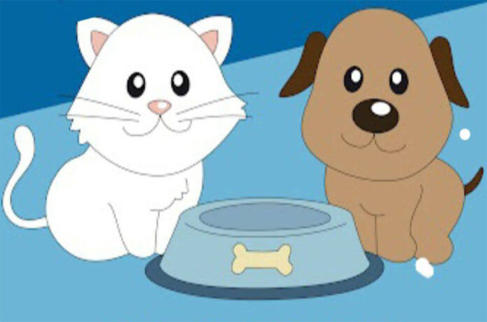 raccolta alimentare Enpa VT