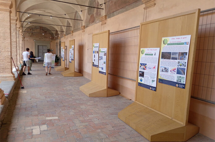 Clima tempo di agire