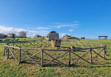 L’apertura completa della Necropoli dei Monterozzi è stata prorogata fino al 25 agosto