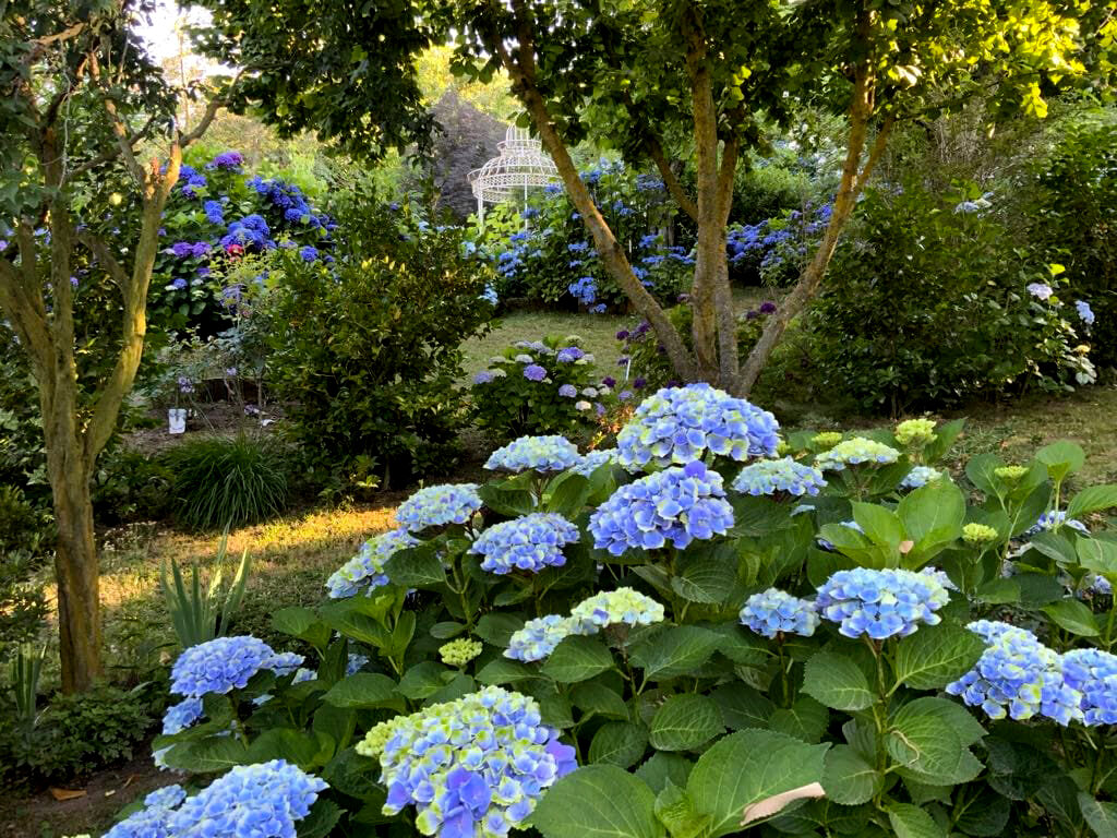 P21_Giardino-Botanico-La-Perella_1_ufficiale