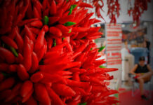 Fiera mondiale del peperoncino, le eccellenze dell’Alto Lazio in vetrina a Rieti fiera mondiale del peperoncino rieti
