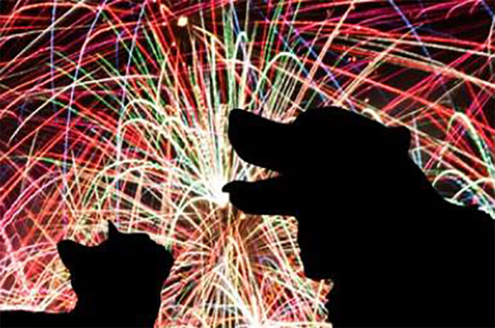 no ai botti no ai botti