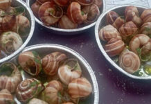 sagra della lumaca-barbarano romano2025