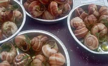 A Barbarano Romano in arrivo la storica Sagra della Lumaca, alla sua 52ma edizione sagra della lumaca-barbarano romano2025