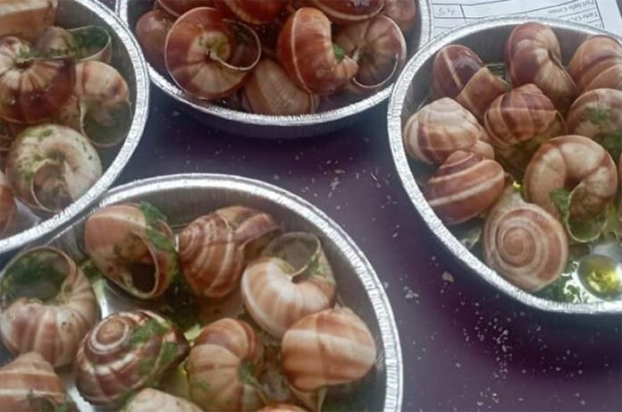 sagra della lumaca-barbarano romano2025