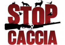 “Stop caccia!”, consegnate le oltre 50mila firme raccolte per la proposta di legge stopcacciaweb