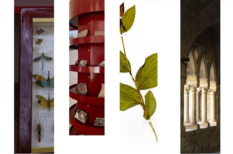 10 anni sistema museale di ateneo della Tuscia