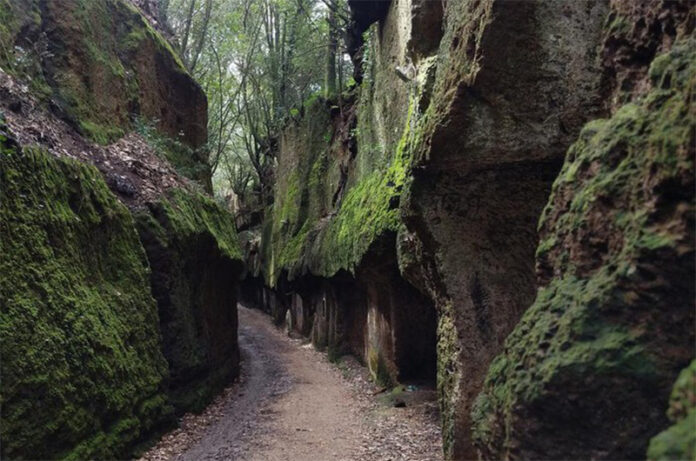 Ager Faliscus-visita guidata