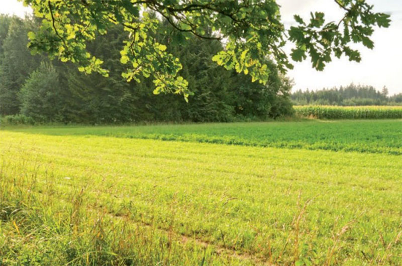 Bioeconomia per le aree interne
