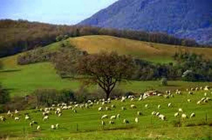 Civitella Cesi-Antico Presente Civitella Cesi-Antico Presente